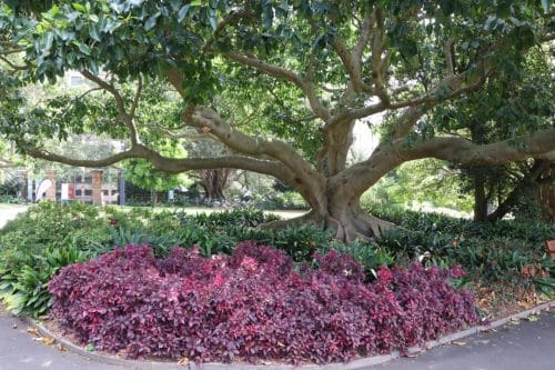 IMG 8996Australie2024