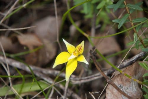 IMG 9383-1Australie2024