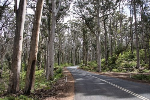 IMG 9446-1Australie2024