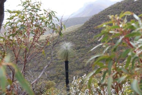 IMG 9888Australie2024