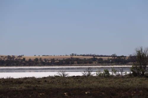 IMG 9901Australie2024